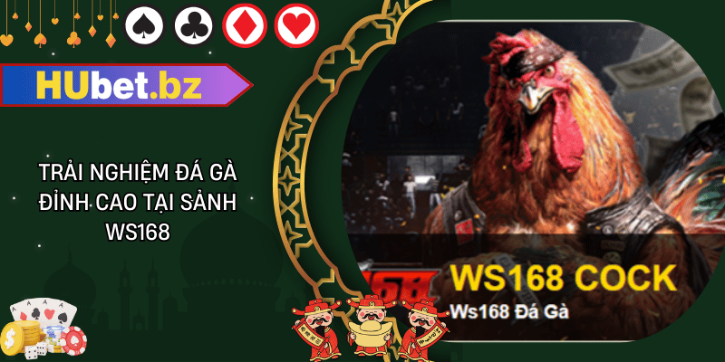 Trải nghiệm đá gà đỉnh cao tại sảnh ws168